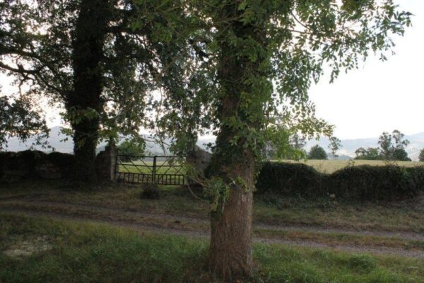 la_casona_de_la_garaba_Entorno_04