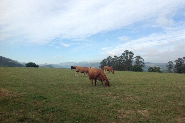 la_casona_de_la_garaba_Entorno_08