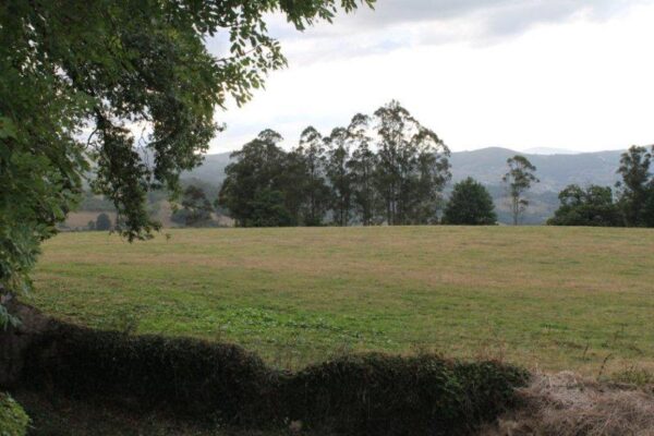 la_casona_de_la_garaba_Entorno_09