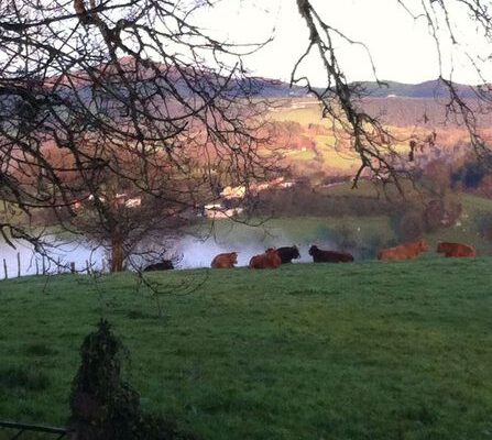 la_casona_de_la_garaba_Entorno_19