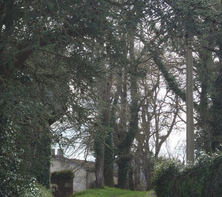 la_casona_de_la_garaba_Entorno_21