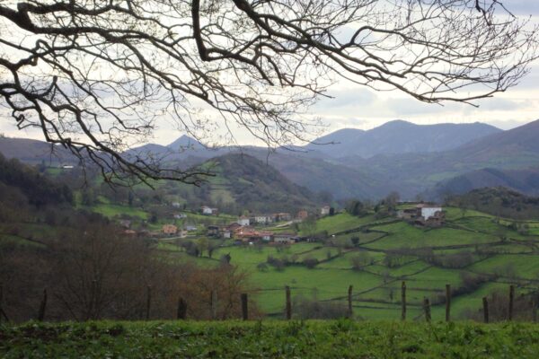 12 Paisaje 12