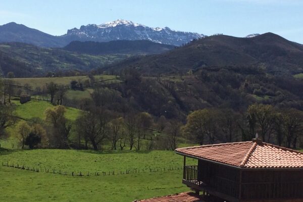 12 Paisaje 4