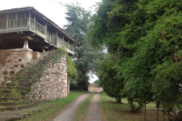 12 Paisaje 5