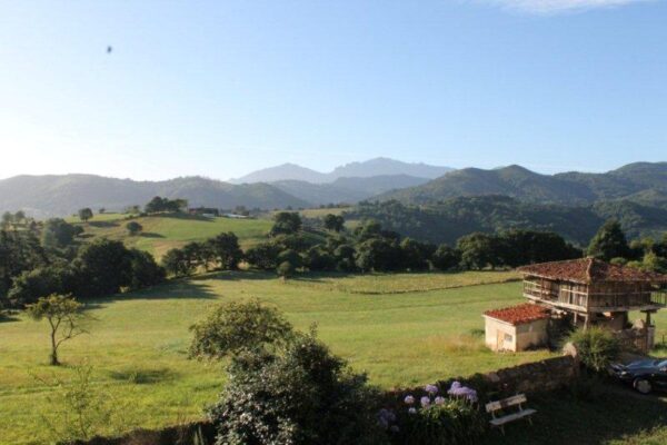 12 Paisaje 6