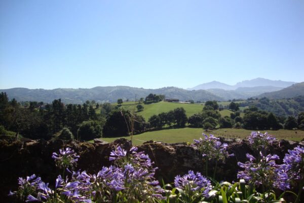 12 Paisaje 7