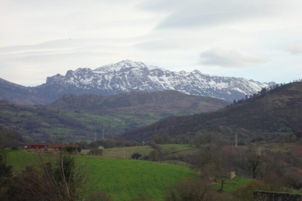 12 Paisaje 8